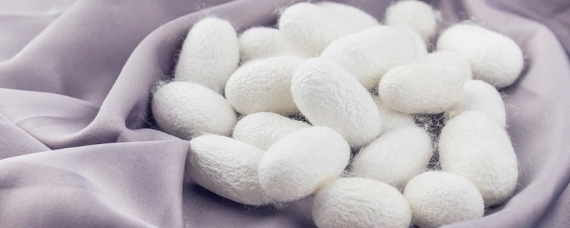 Silk Fabric